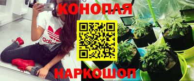 экстази Ставрополь