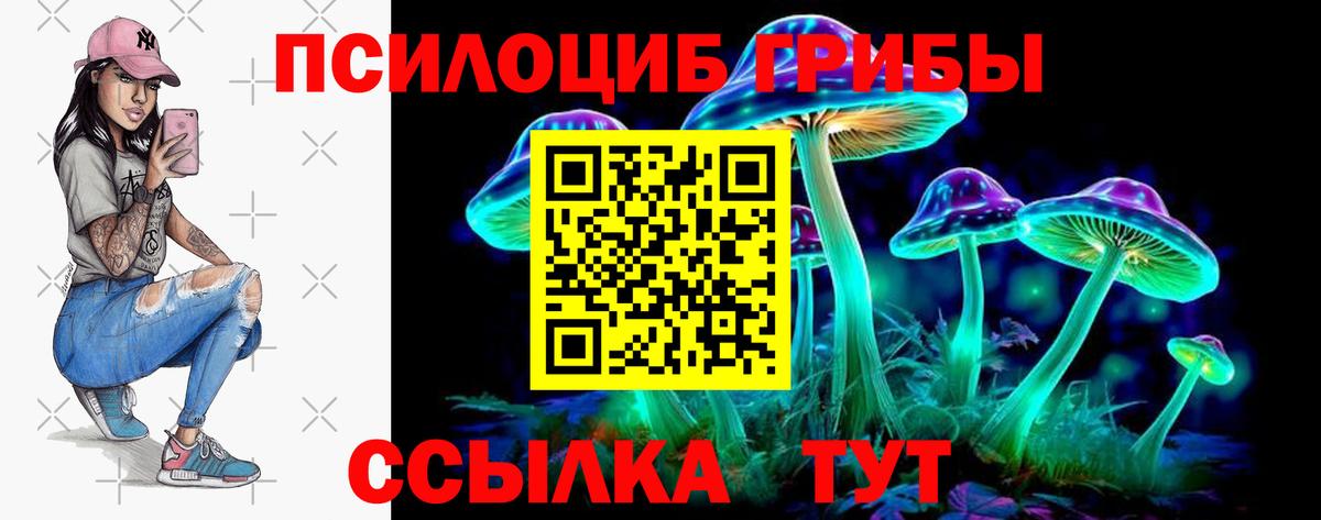 Асино  Псилоцибиновые грибы Psilocybe  Галлюциногенные грибы Psilocybine cubensis  Вход с VPN 