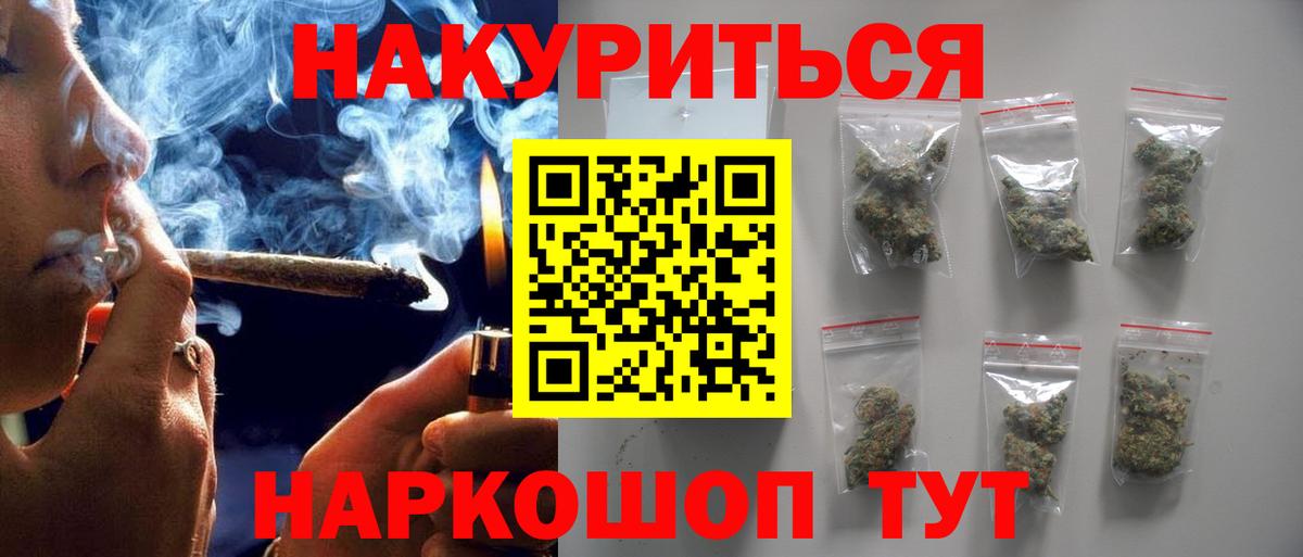 Бошки Шишки планчик Асино